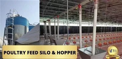 Xincan Machinery Domay Perad Construction